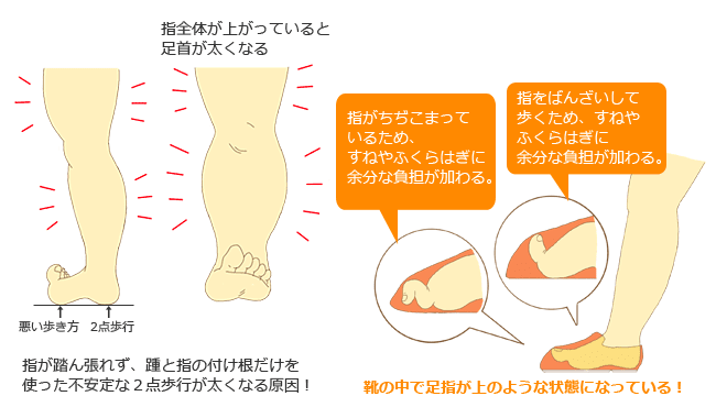 太い脚を作る原因 浮き指歩き 京の癒処 リラクゼーションマッサージサロン ゆめみし