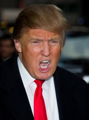 donald trump for president pics. Donald Trump - the next US