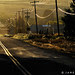 Country Road in Early Light