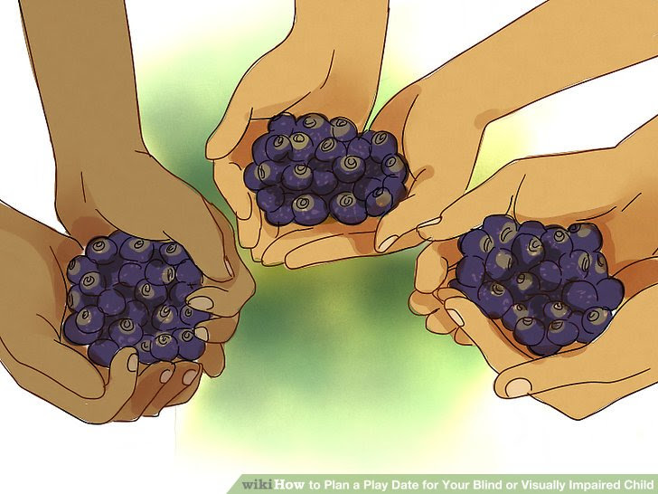 Plan a Play Date for Your Blind or Visually Impaired Child Step 17.jpg