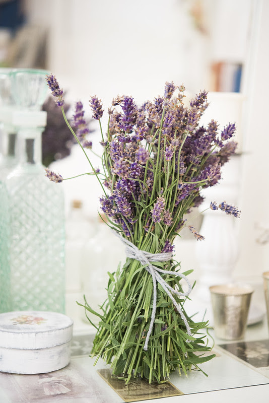 lavendel-2