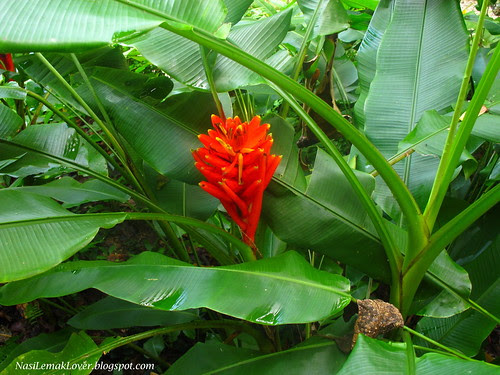 Tropical Spice Garden Penang