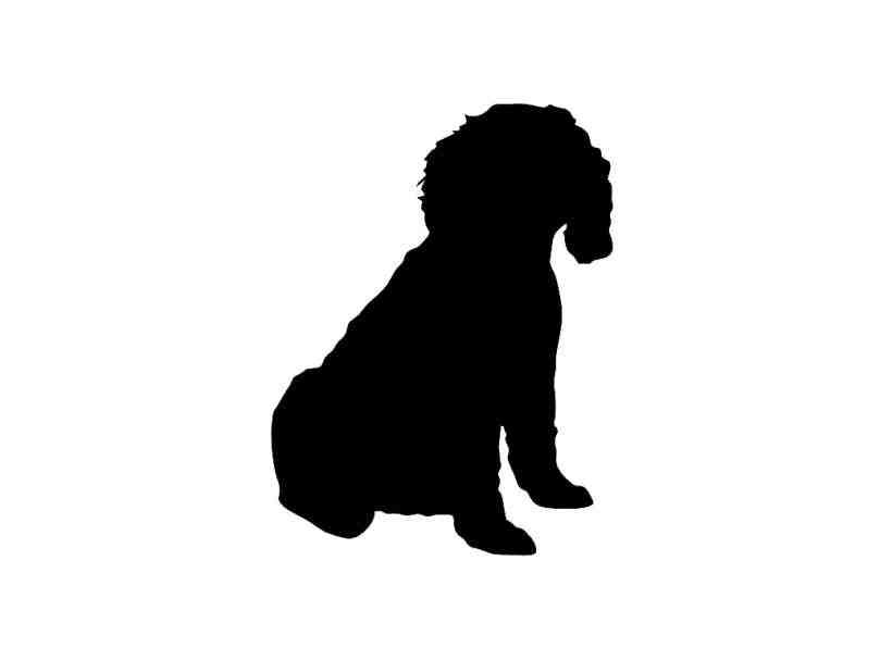 Download Miniature Poodle Silhouette at GetDrawings | Free download