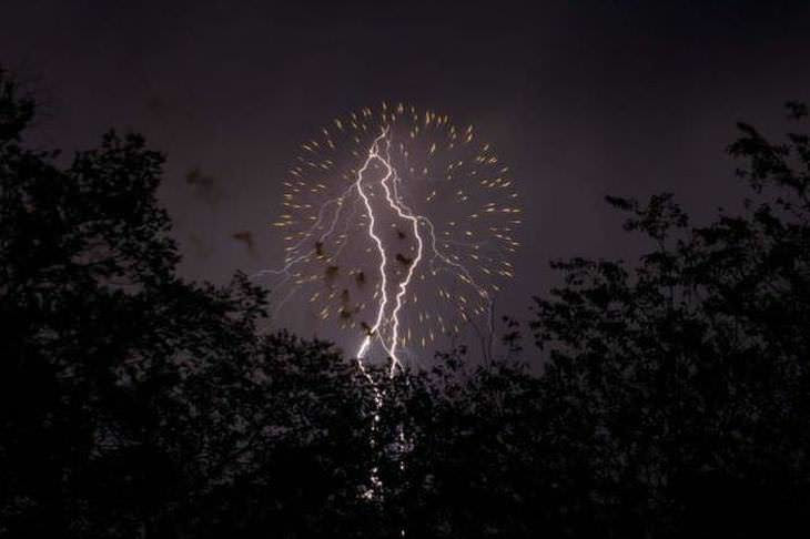 30 Imagens divertidas que captaram o momento certo