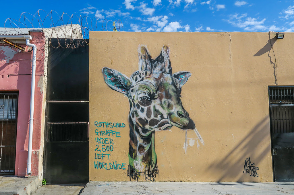 Cape Town Street Art 