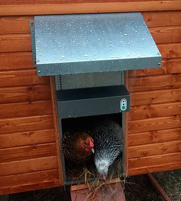 automatic chicken coop doors reviews