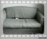 funny cats 2. funny_cats-2.mp4 video by