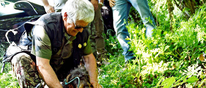 En France, il est possible de chasser 64 especes d'animaux.