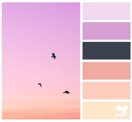 Color Soar Flat Design Color Palettes