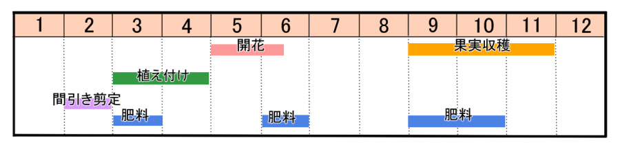 オリーブの育て方 ヤサシイエンゲイ