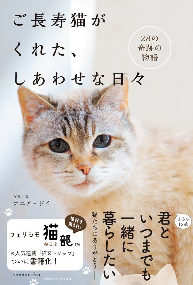 ストーリー u2013 猫カフェ 猫の屋おでん