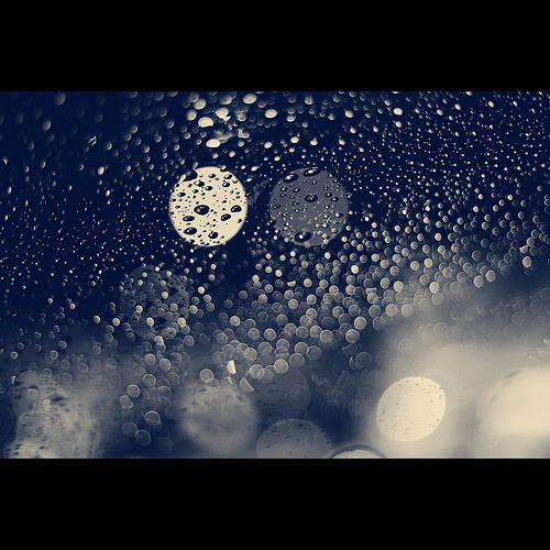 雨が降っても自分の責任 だから 雨が降っても負けないくらいに強くなりたい 日本の田舎を開拓してみる