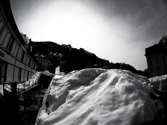 Nieve 8