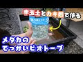 [最も共有された！ √] ダイソー 牡蠣殻 メダカ 255427-ダイソー 牡蠣殻 メダカ