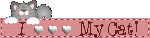 iheartmycatblinkie