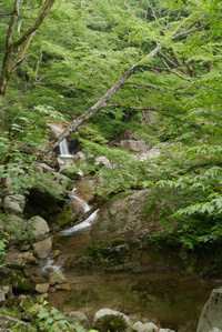 P1010471_2 P1010471_2