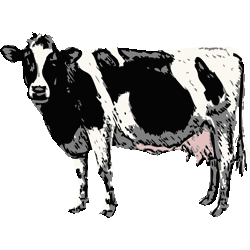 スマホ対応 りあるたっち雌牛 No 015 リアルホルスタインのイラスト アイコン 条件付フリー素材集