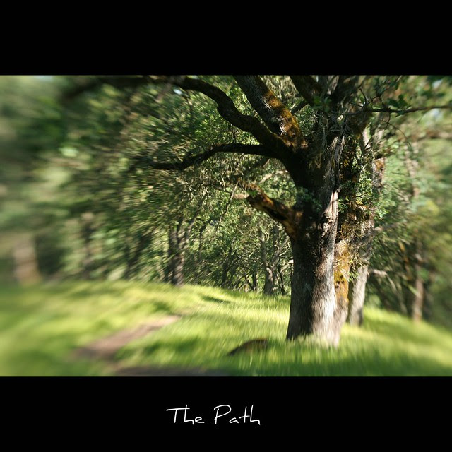 The Path