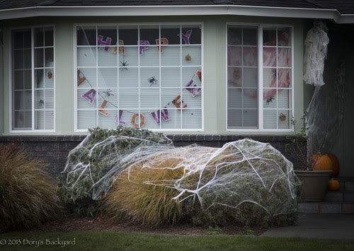 20131021_FallDecoratedHouses