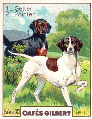 gilbert chiens003