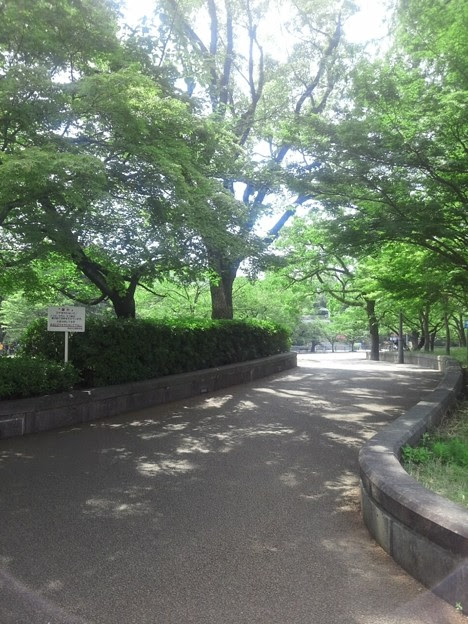 １４７１５号 背景合成用素材 街並み 令和 2 写真共有サイト フォト蔵