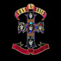 Image for: Guns N Roses - Appetite For Destruction