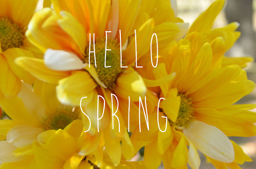 hellospring-yellow