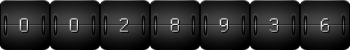 page hit counter