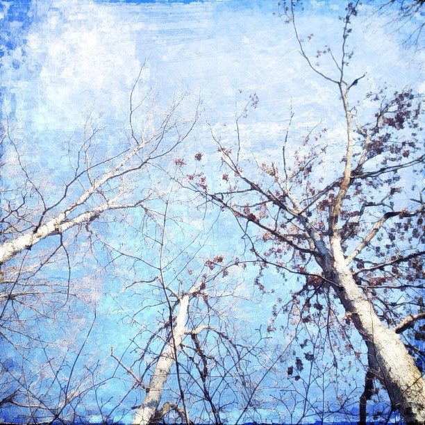 iphone photo