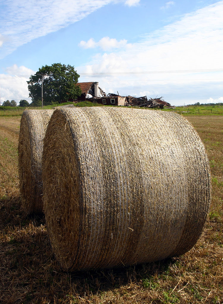 Rolling up the carpets of summer