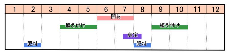 クチナシの育て方 ヤサシイエンゲイ