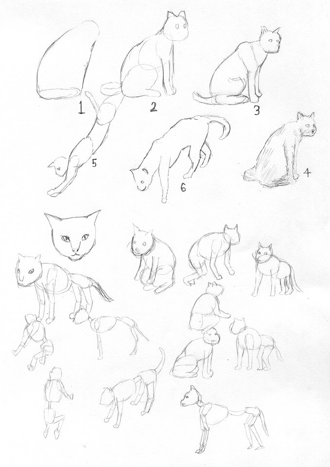 6猫の描き方リアル儀式あなたが6で知っておくべきこと 猫の描き方リアル