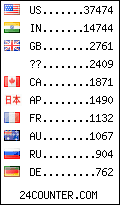visitors by country counter