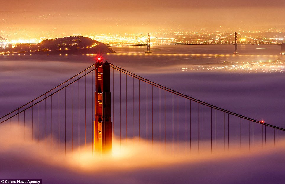 Eery sight: The iconic Gold Gate Bridge emerges after being shrouded in San Francisco's famous fog
