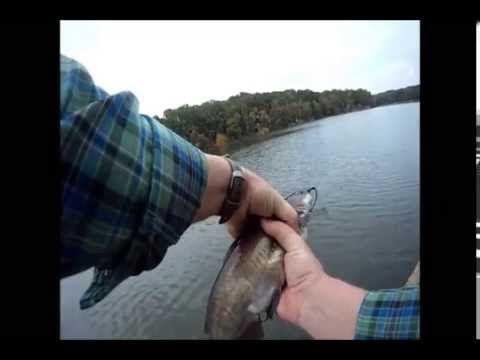 Good Video Camera on Fight The Fish  Campaign Launches To Remove Devastating Snakeheads
