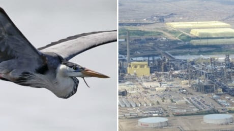 Syncrude's Mildred Lake plant