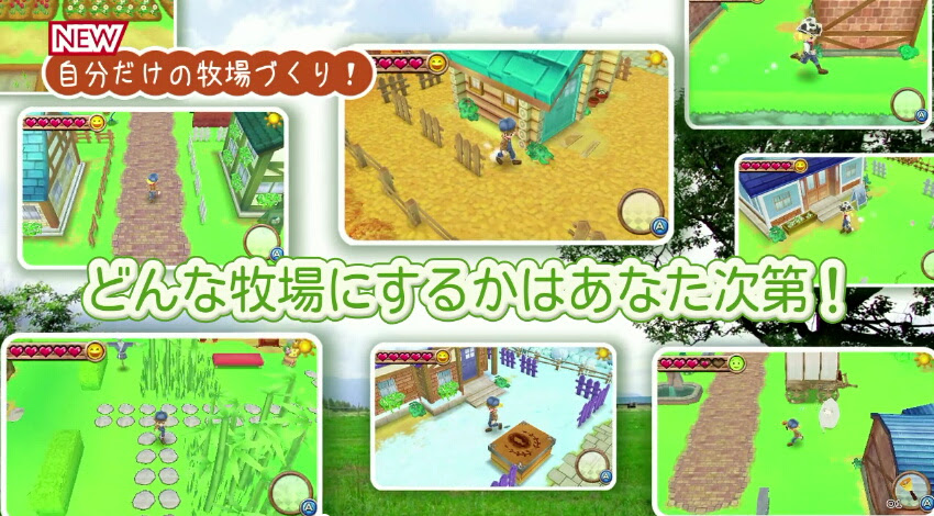 ゲーム 牧場物語 はじまりの大地 3ds Chibira