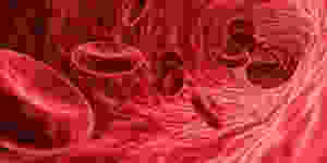 Resim