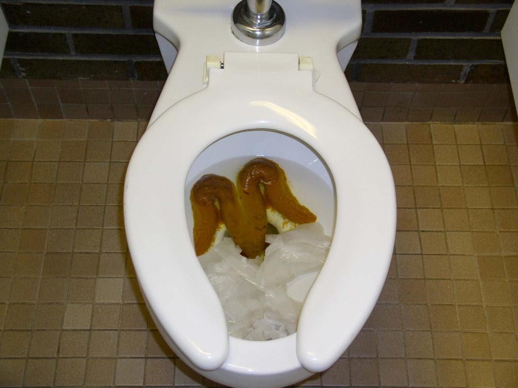 http://madonnablog.files.wordpress.com/2007/11/poop_05-29-2003.jpg