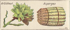 asperges