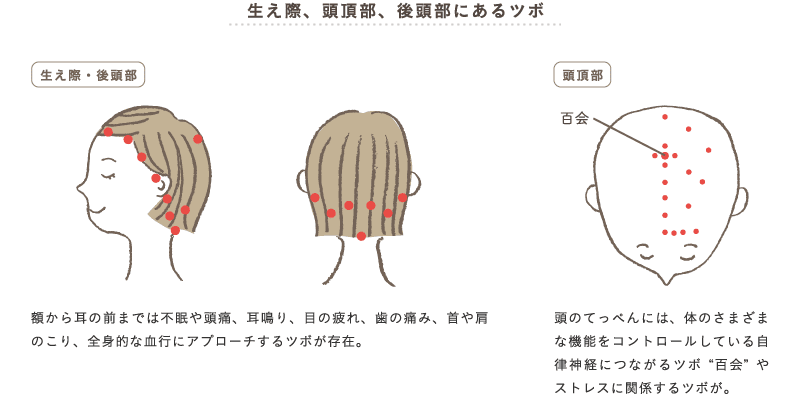 第4回 明るい顔色に導く首 頭のコリほぐし 体のこと キレイのいろは