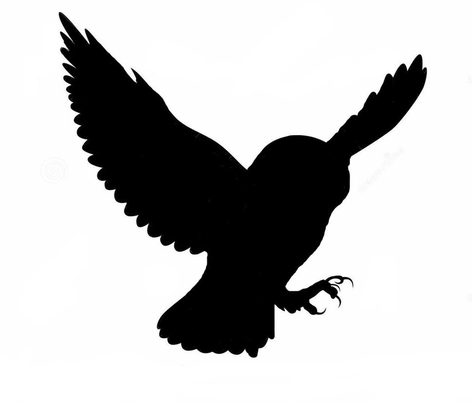 Download Barn Owl Silhouette at GetDrawings | Free download