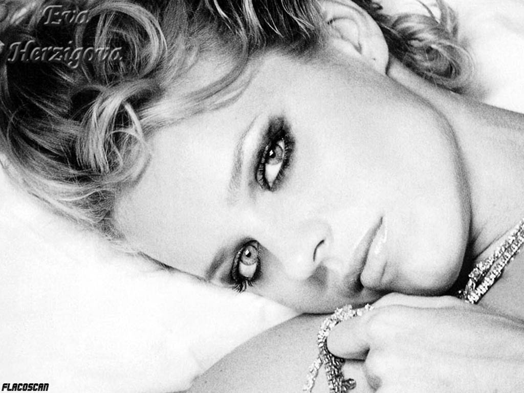 Eva Herzigova - Picture