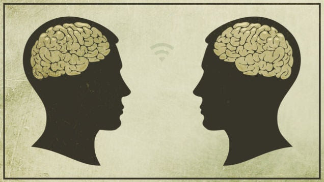 Most Popular Features and Essays of 2014