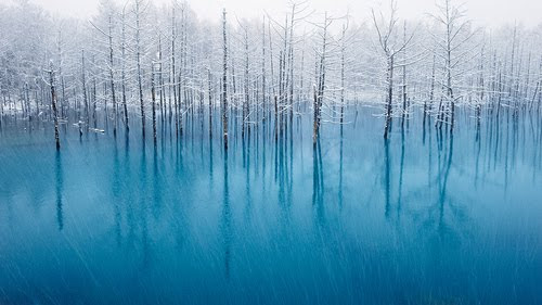 Stunning Scenaries