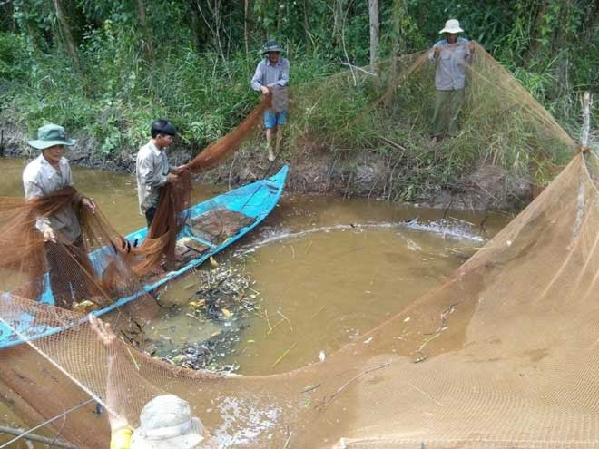Cà Mau đề nghị ông Hải phản hồi phát ngôn 'rừng U Minh' - 1