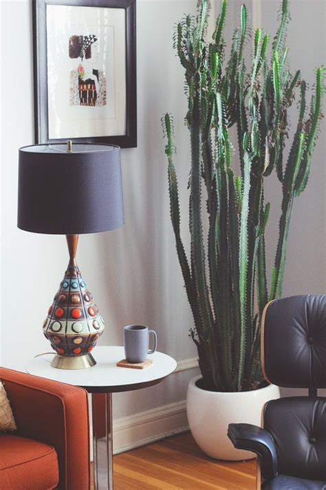 If you buy through links on th. huge cactus in home - Google Search | Decor, Cactus house