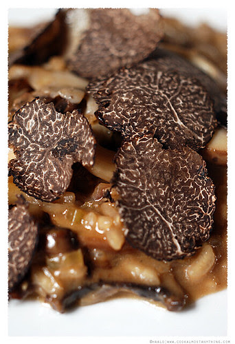 Truffle Risotto© by Haalo