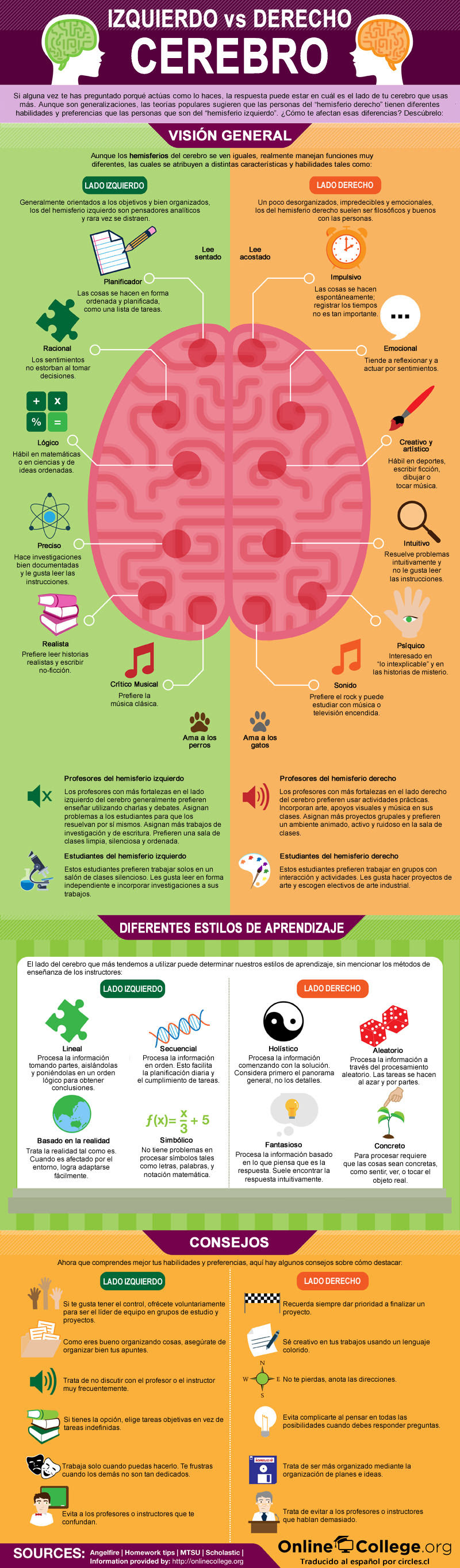 El comportamiento según el lado del cerebro que más se utiliza
