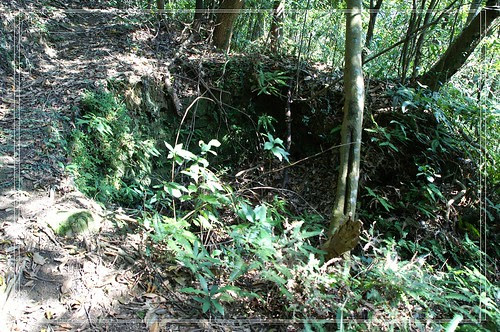 PICT0071